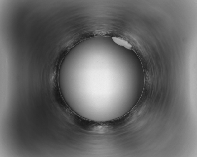 X0000095960364200801251155