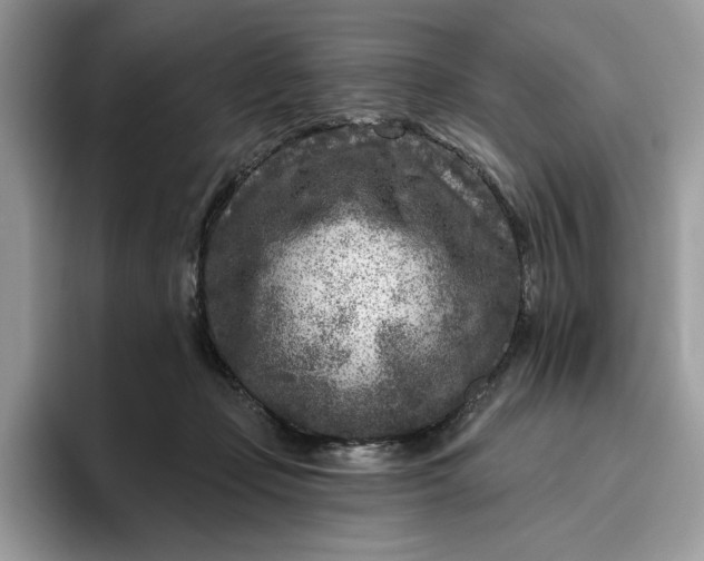 X0000095960365200801251155