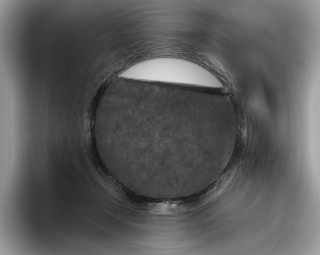 X0000095960366200801251155