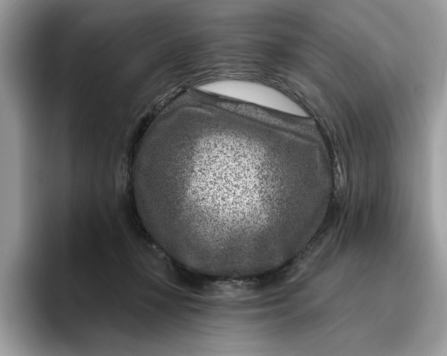 X0000095960367200801251155