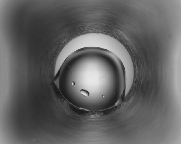 X0000095960368200801251155