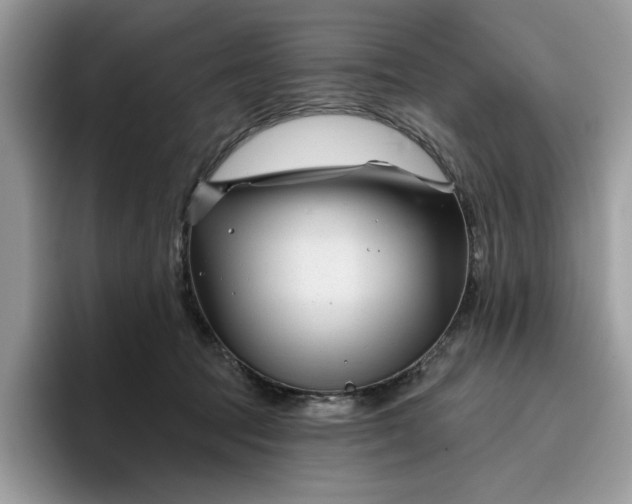 X0000095960369200801251155