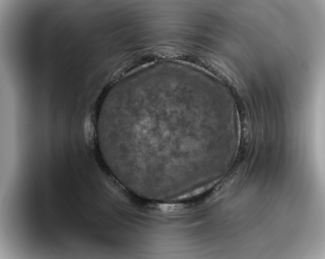 X0000095960371200801251155