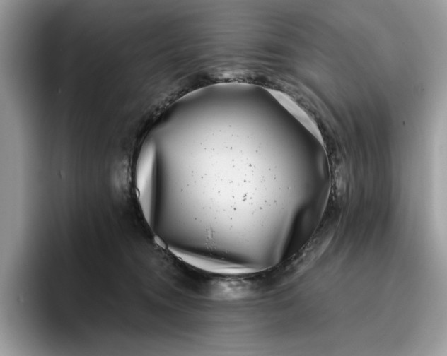 X0000095960372200801251155