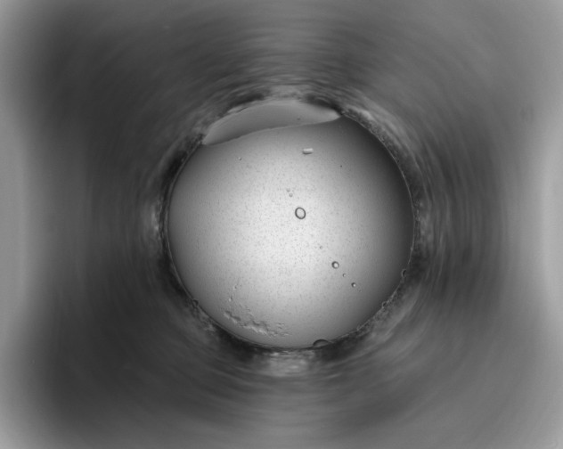 X0000095960373200801251155