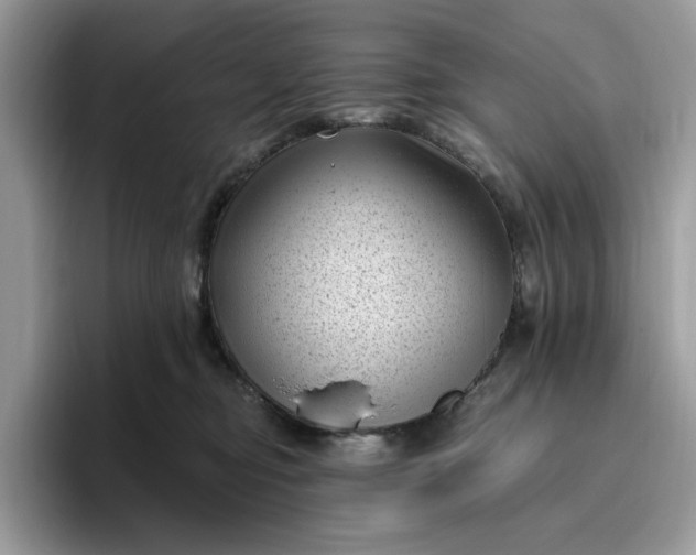 X0000095960374200801251155