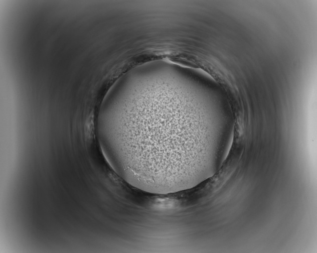 X0000095960376200801251155