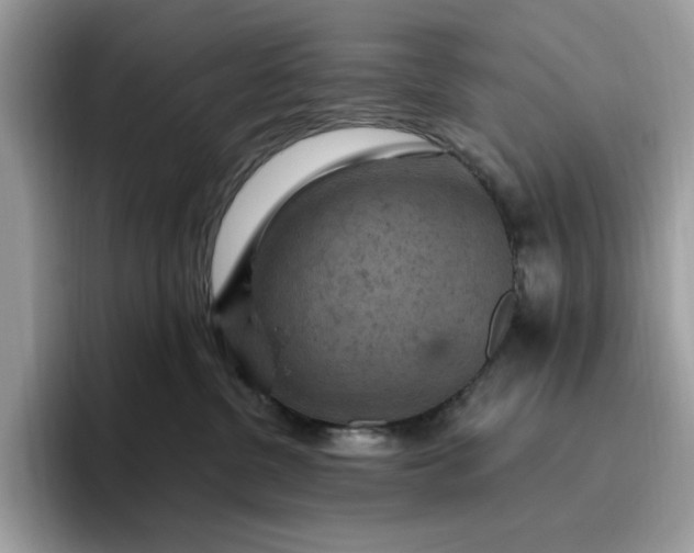 X0000095960380200801251155