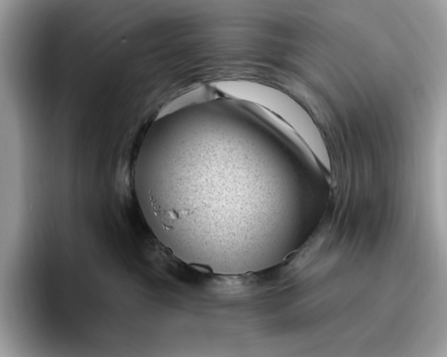 X0000095960381200801251155