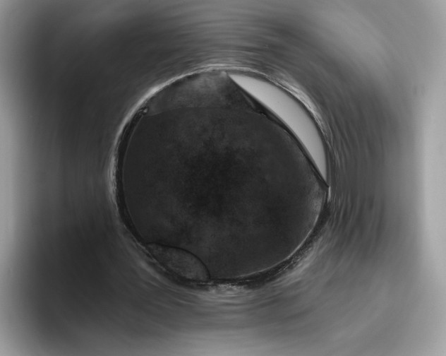 X0000095960387200801251154