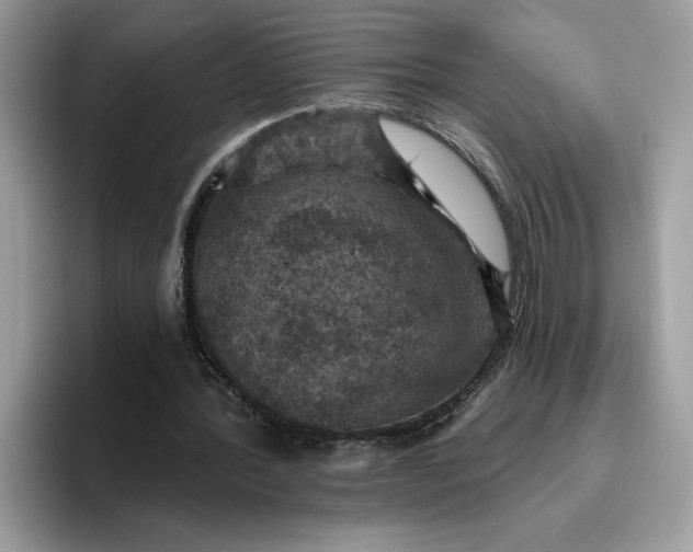 X0000095960388200801251154