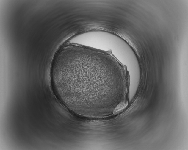 X0000095960390200801251154