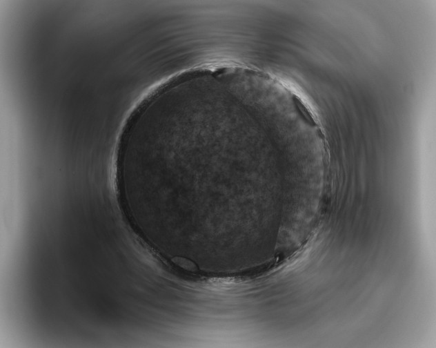 X0000095960391200801251154