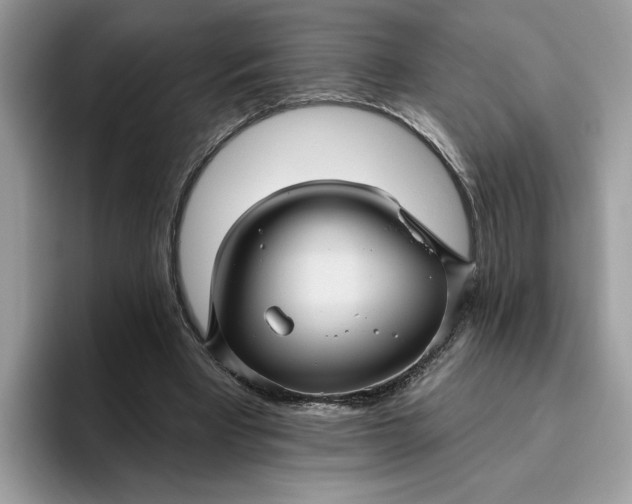 X0000095960393200801251154