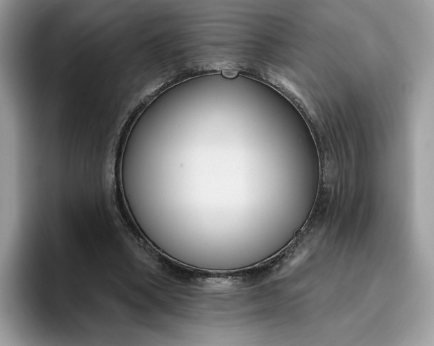 X0000095960394200801251154