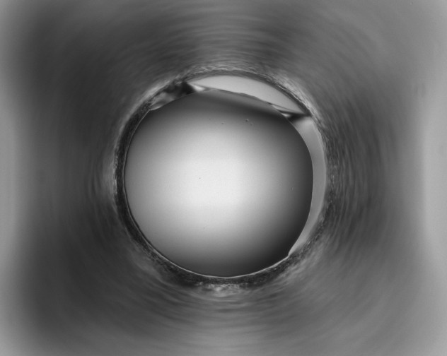 X0000095960395200801251154