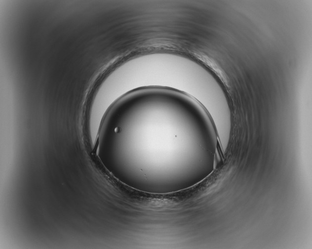 X0000095960399200801251154