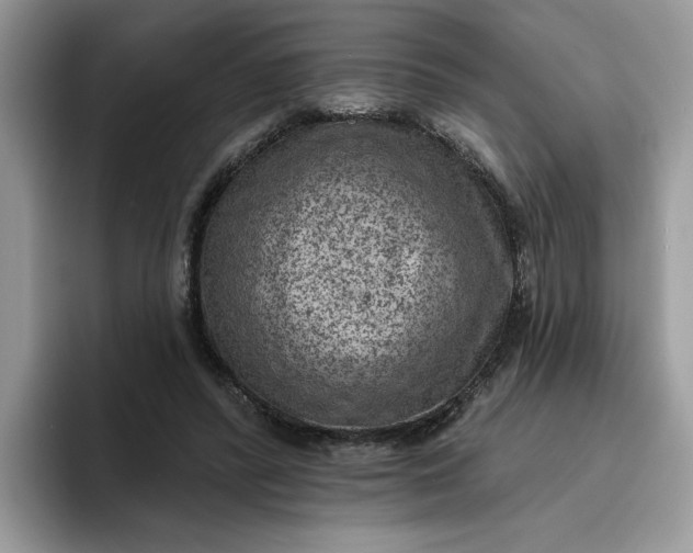 X0000095960400200801251154