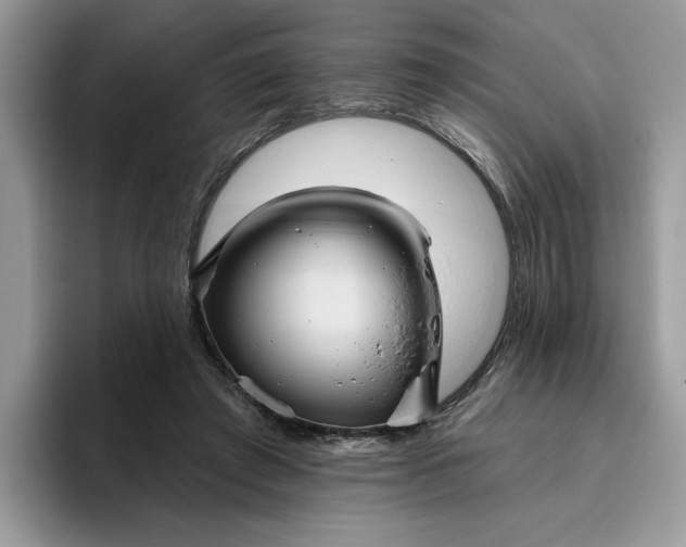 X0000095960401200801251154