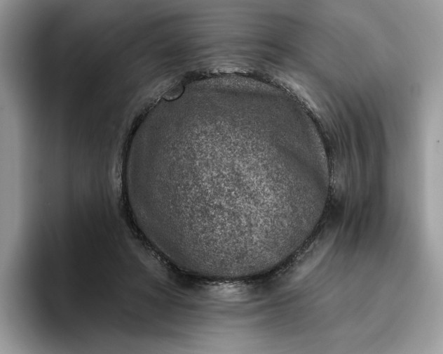 X0000095960402200801251154