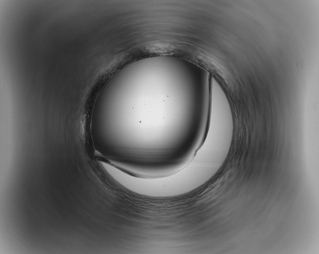 X0000095960404200801251154