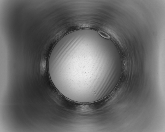 X0000095960406200801251154