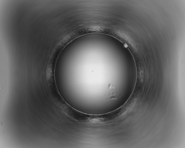 X0000095960407200801251154