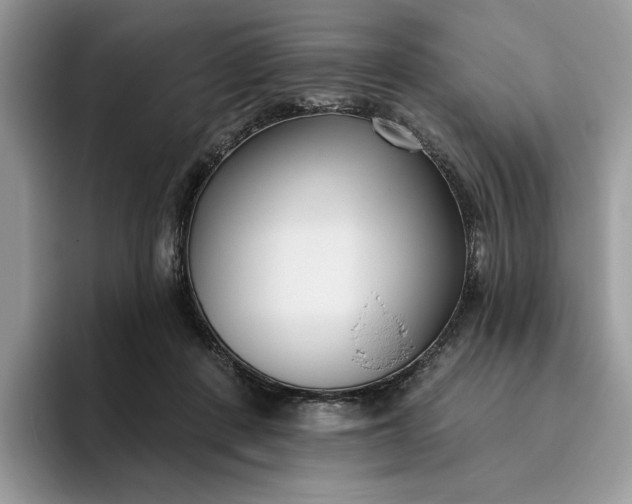 X0000095960408200801251154