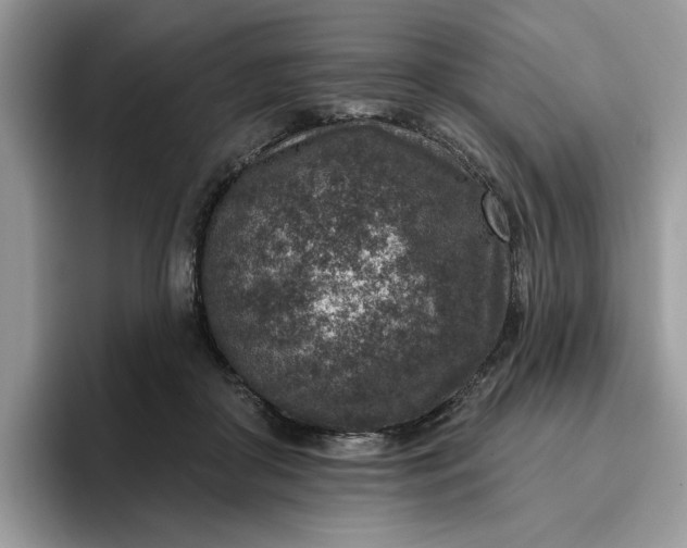 X0000095960410200801251154