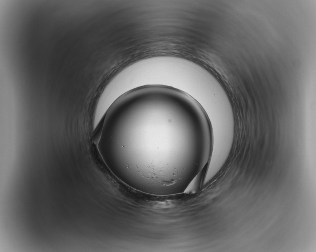 X0000095960411200801251154