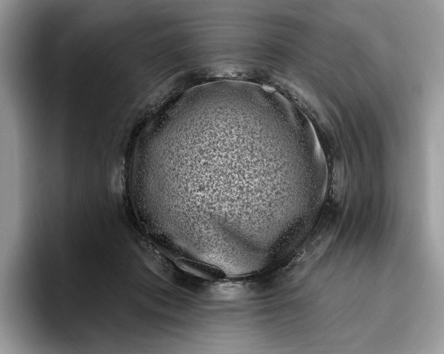 X0000095960413200801251154