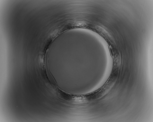 X0000095960415200801251154