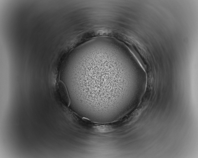 X0000095960417200801251154