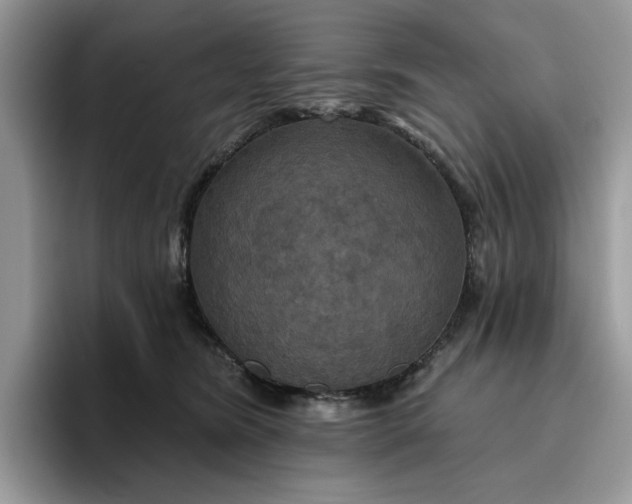 X0000095960420200801251154