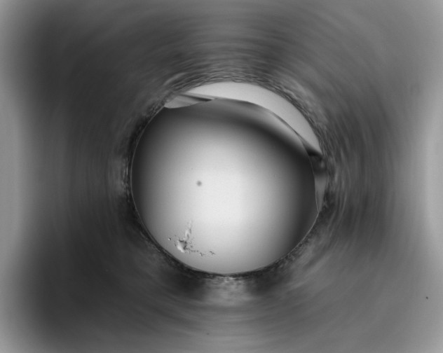 X0000095960421200801251154