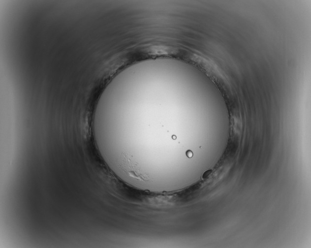 X0000095960422200801251154