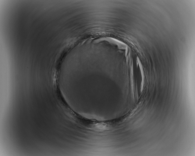 X0000095960423200801251154