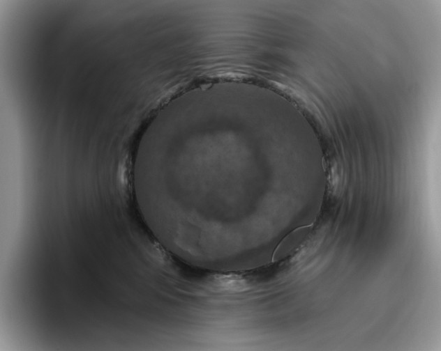 X0000095960424200801251154