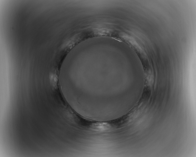 X0000095960427200801251154