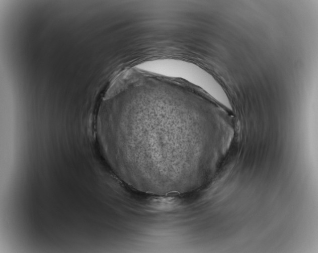 X0000095960428200801251154