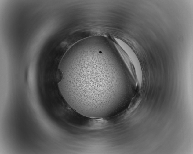 X0000095960429200801251154