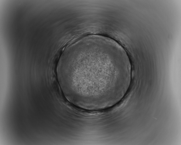 X0000095960432200801251154