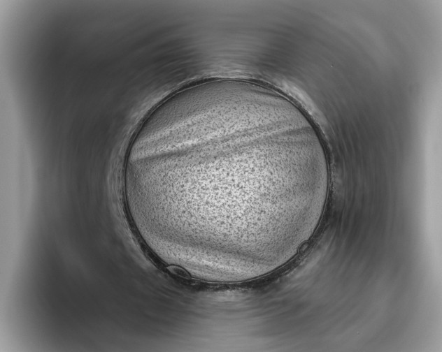 X0000095960433200801251153