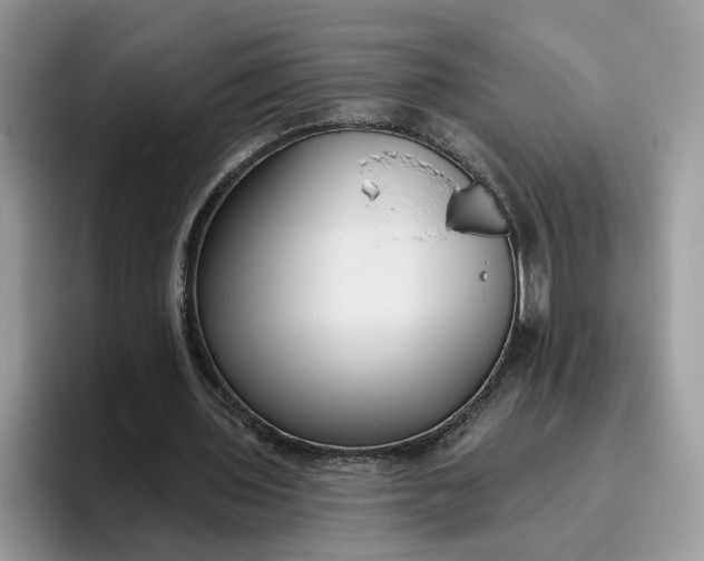 X0000095960435200801251153