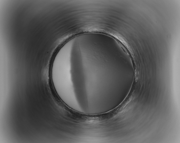 X0000095960438200801251153