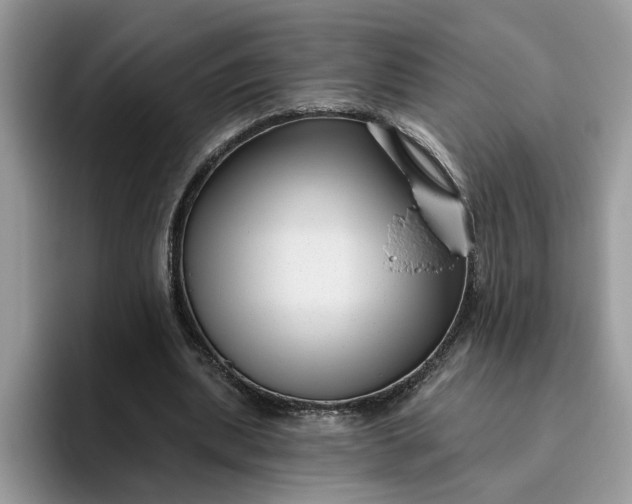 X0000095960439200801251153