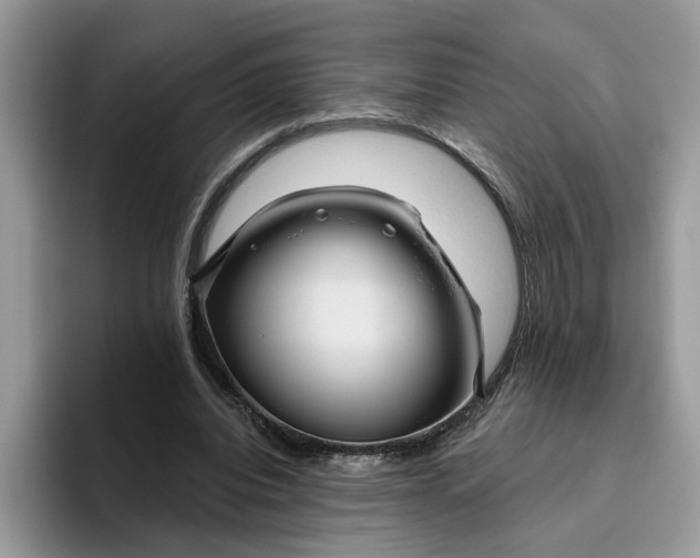 X0000095960440200801251153