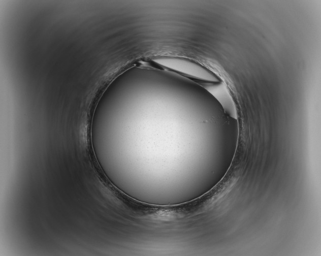 X0000095960441200801251153