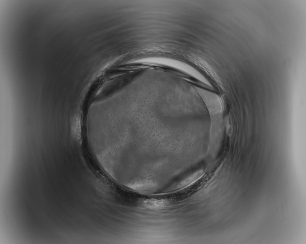 X0000095960444200801251153