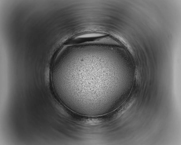 X0000095960445200801251153